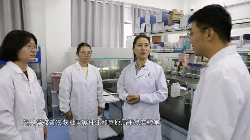 盐碱地播种希望 |6138太阳集团的报国答卷